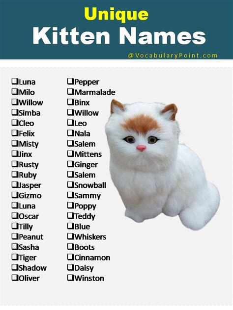 a white cat with an orange nose and some words in the bottom right corner that say unique kitten ...