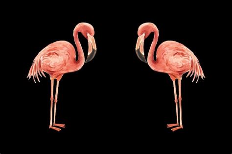 Premium Vector | Flamingo art painting