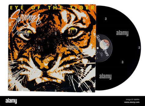 Eye of the Tiger album by Survivor Stock Photo - Alamy