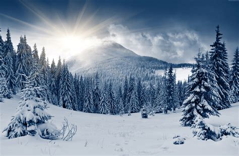 Winter Mountain Forest Wallpapers - Wallpaper Cave