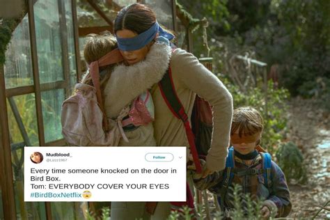 Bird Box memes: 19 hilarious Twitter reactions and memes.