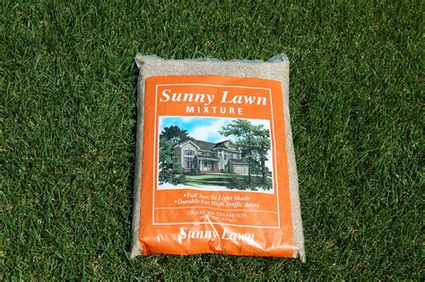 Perennial Ryegrass Seed | Kuenzi Turf & Nursery