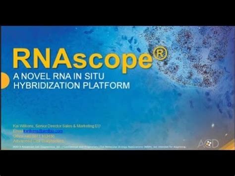 RNAscope® - a novel breakthrough RNA in situ hybridization platform - YouTube