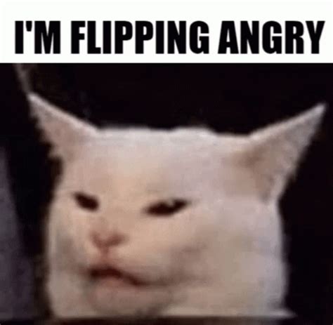 Cat Angry Cat GIF - Cat AngryCat Meme - Discover & Share GIFs