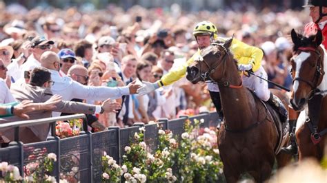 Melbourne Cup 2023: Who won the race that stopped a nation | news.com.au — Australia’s leading ...