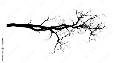 Dry Tree Branch Vector Shape Design Stock Vector | Adobe Stock