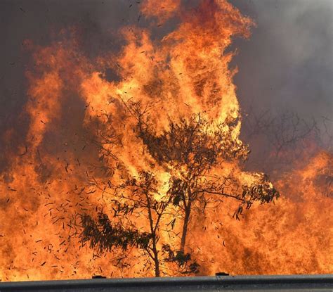 Raging fire in Maui forces evacuations | The Seattle Times