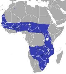 Geographical Locations - Biome: Savanna