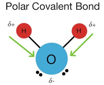 Polar and Nonpolar Covalent Bonds — Overview & Examples - Expii