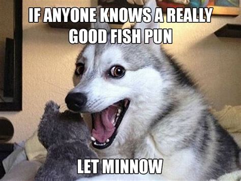 Animals Telling Silly Puns