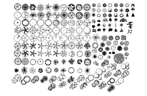 Miscellaneous green plants blocks cad drawing details dwg file - Cadbull