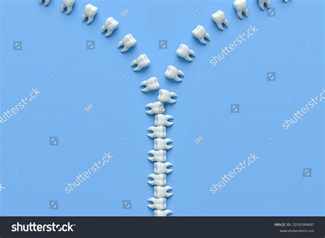 8 Human Teeth Shape Zipper Images, Stock Photos & Vectors | Shutterstock