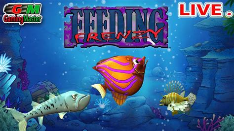 Fishing Frenzy Game Free