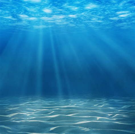 background biru laut - Penelusuran Google | Underwater background, Ocean underwater, Sea world