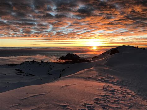 Mount Kilimanjaro Sunrise