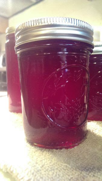 Wild muscadine grape jelly – Artofit