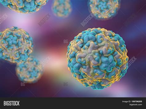 Rhinoviruses. Viruses Image & Photo (Free Trial) | Bigstock