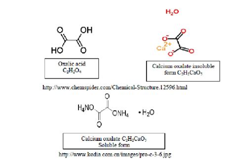 Oxalic Acid Formula, Uses, Structure, Production, 59% OFF