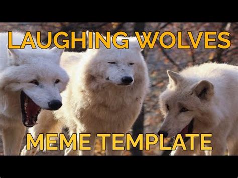 How to Make a Laughing Wolves Meme (Free Template) | Laughing Wolves | Know Your Meme