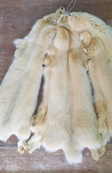 Fur Peltsreal Fox Skinluxury Quality Fur Pelts - Etsy