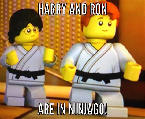 Pin by Cherish Berman on Lego Ninjago | Ninjago memes, Ninjago, Lego ninjago movie