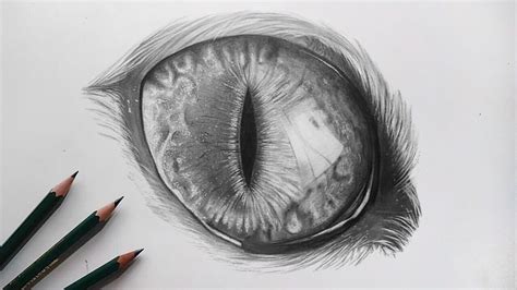 Realistic Drawing Of A Cat Eye