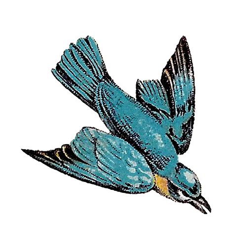 Blue Bird Flying Drawing | Free download on ClipArtMag