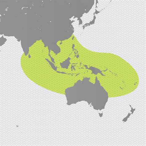 Saltwater Crocodile Habitat Map