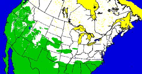 North American snow cover at 3rd-highest level on record