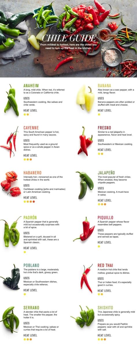 12 Types of Chillies: How to Cook With Them | Fine Dining Lovers