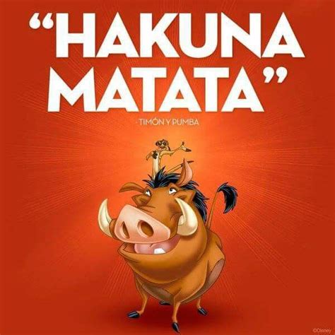 Timon y Pumba - Hakuna Matata | Frases de famosos, Peliculas de disney ...