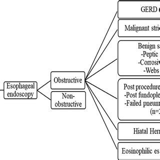 Classification of patients with esophageal dysphagia based on their... | Download Scientific Diagram