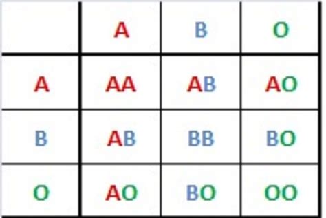 A negative blood type ethnicity - clothesplora