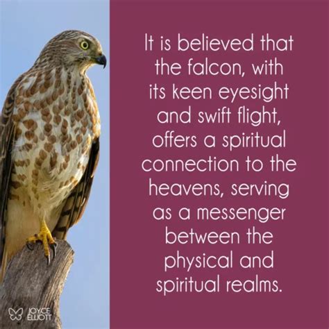 Falcon Symbolism & Meaning: 9 Unbelievable Symbols For Different Cultures - Joyce Elliott