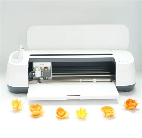 Best Cricut Machine for Beginners - DOMESTIC HEIGHTS