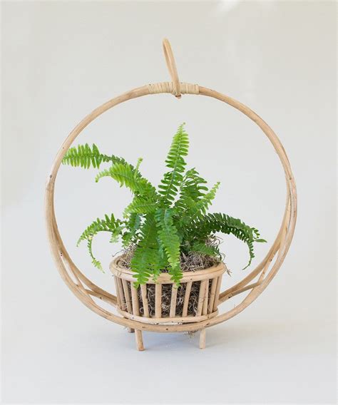 Rattan Planter – Sister Golden in 2020 | Rattan planters, Diy plants ...