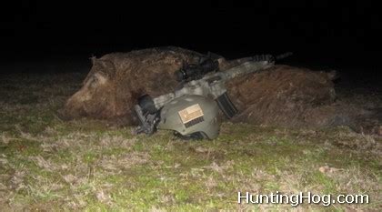 Hog Hunting at Night in Texas