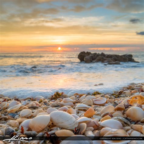 Beautiful Sunrise at Beach with Seashells | HDR Photography by Captain Kimo