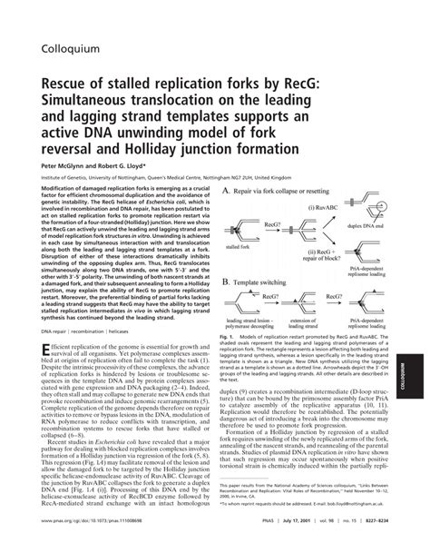 (PDF) Rescue of stalled replication forks by RecG: Simultaneous ...