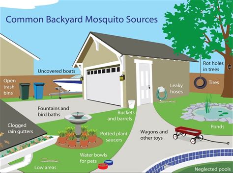 Mosquito Prevention | Riley County Official Website