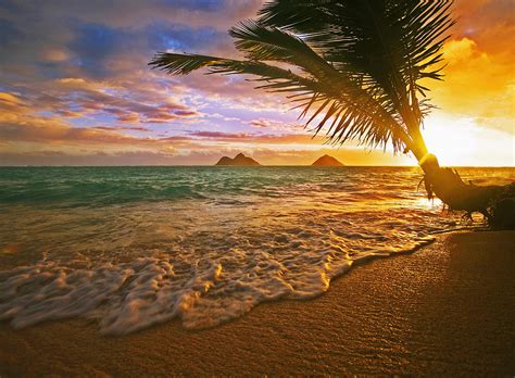 Hawaii Beach Sunrise Wallpaper