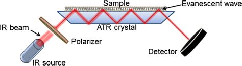 Schematic representation of an ATR-FTIR system. The infrared beam... | Download Scientific Diagram