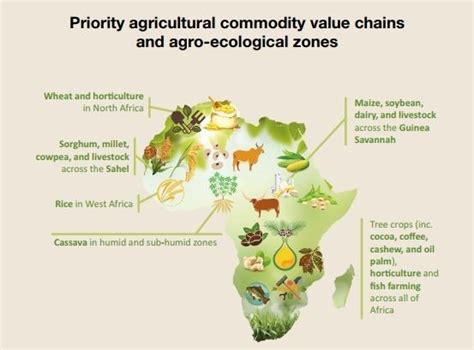 The millennials giving African farming an image boost | World Economic ...