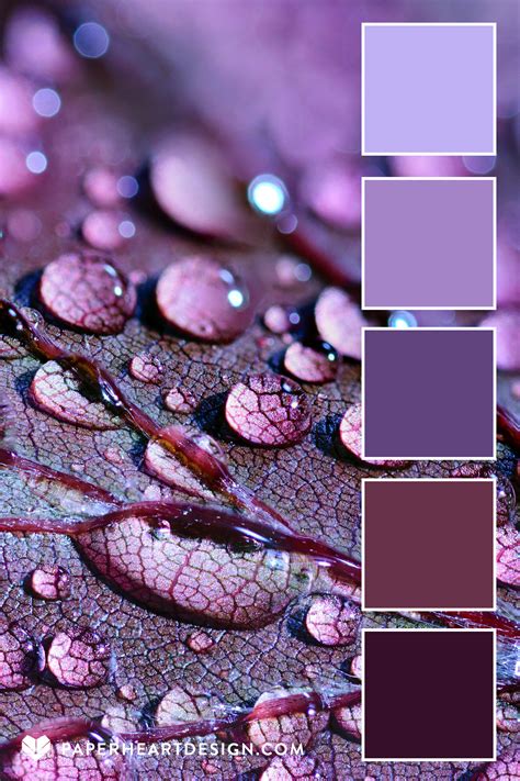 Purple Color Swatch