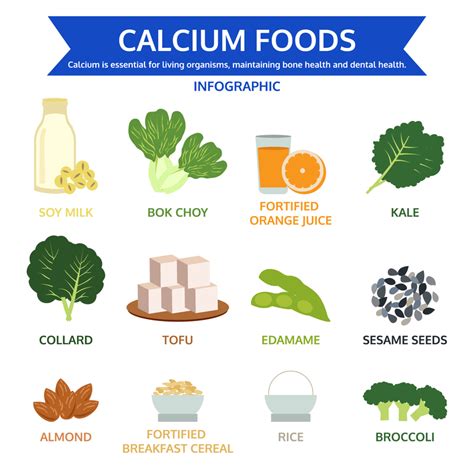 Top 42 Calcium Rich Foods Shopping List Calcium Rich Foods Food | Hot Sex Picture