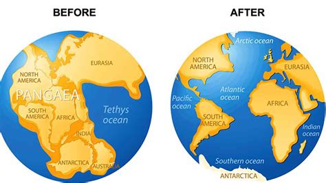 Facts About Pangaea the Most Recent Supercontinent