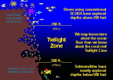 Facts About The Twilight Zone Ocean