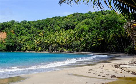 The Best Beaches on Dominica