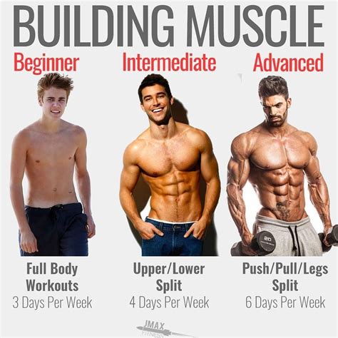 BUILDING MUSCLE by @jmaxfitness - Beginners intermediates and advanced ...