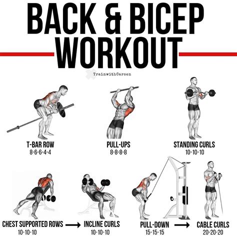 Back and biceps the best workout combination – Artofit